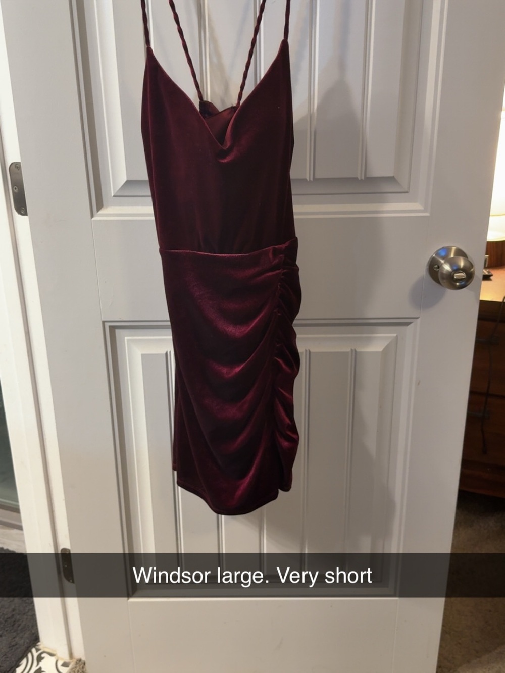 Windsor Wine Velvet Ruched Mini Dress